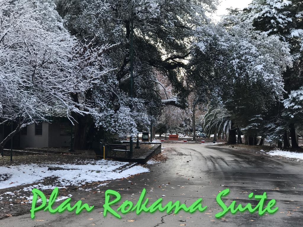 Plan Rokama Suite 586 Mendoza Luaran gambar